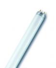 Fluorescent T8